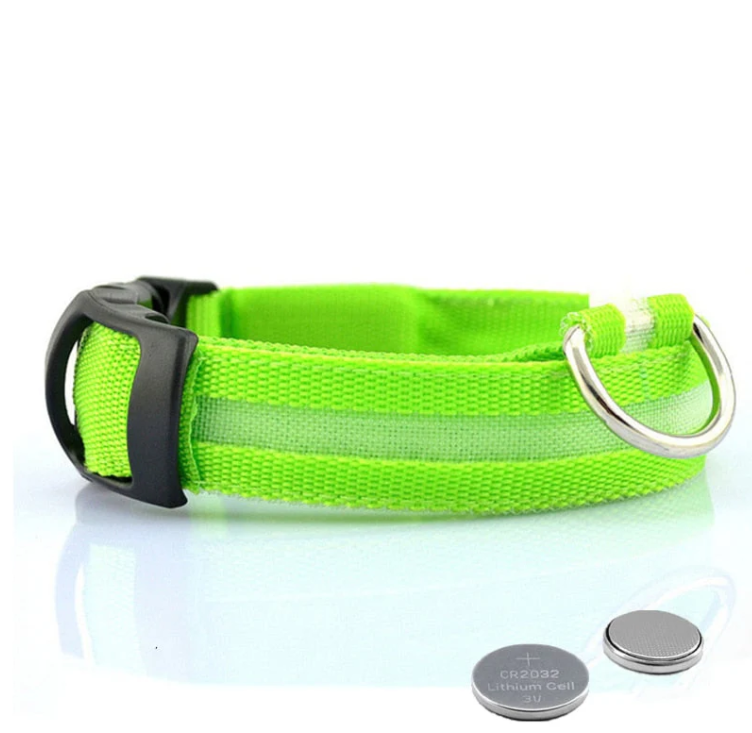 Hunde LED-Halsband