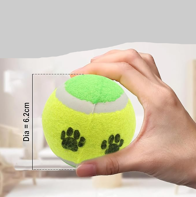 Ball Weitwurf für Hunde