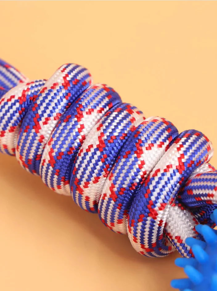 Robustes Kauspielzeug mit Beißring