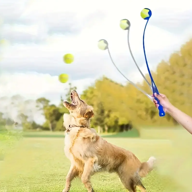 Ball Weitwurf für Hunde