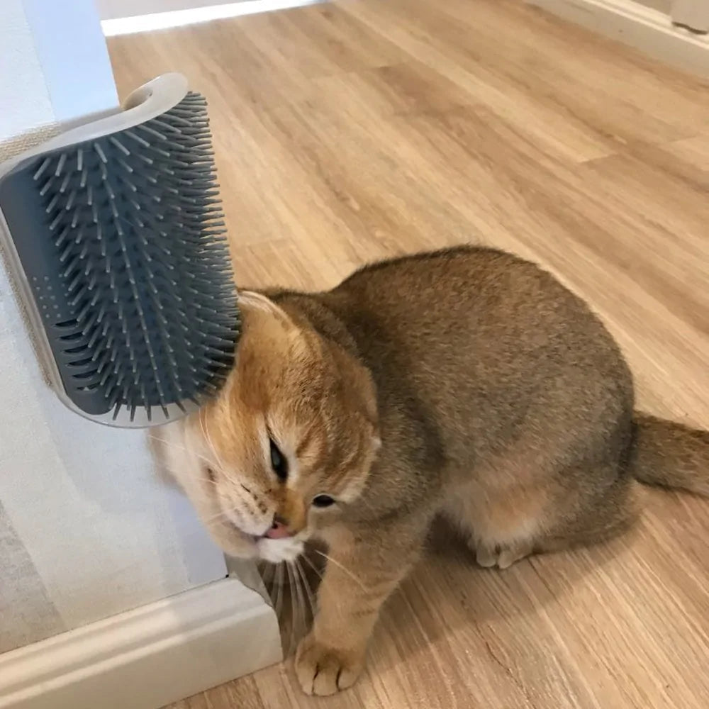 Massagebürste für Katzen