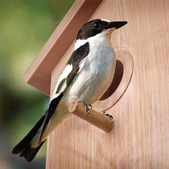 Transparentes Vogelhaus
