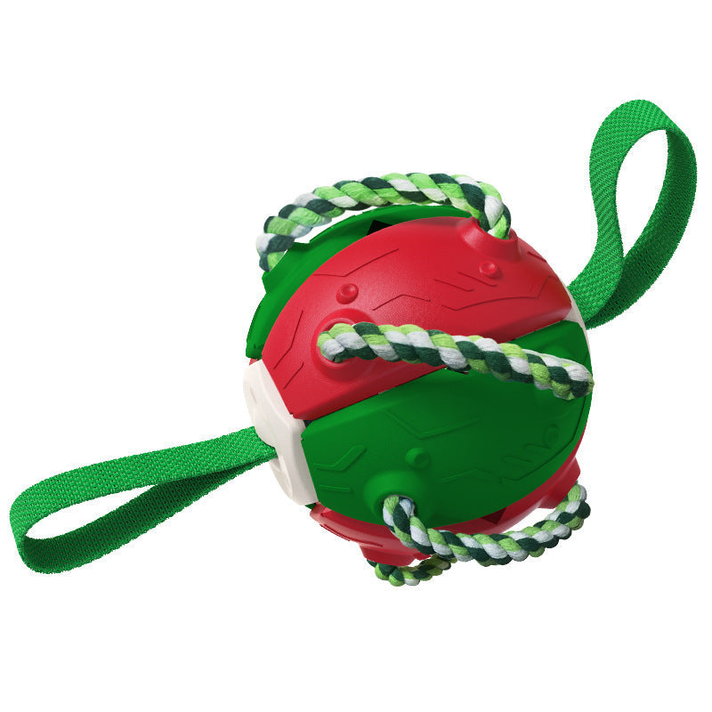 Interaktiver Flugscheibenball