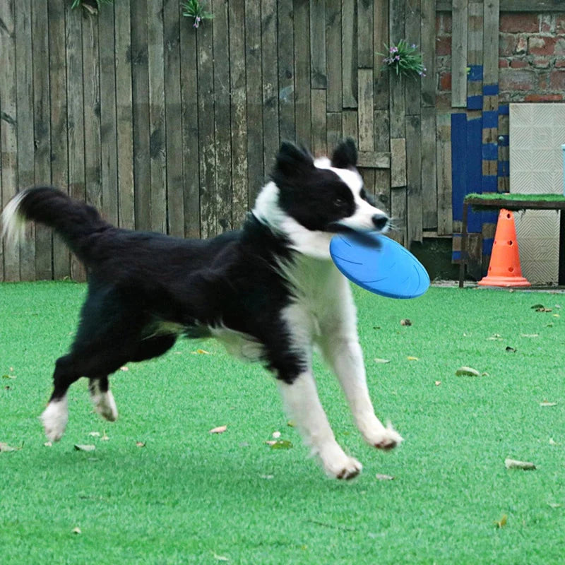 Robuste Frisbee für Hunde