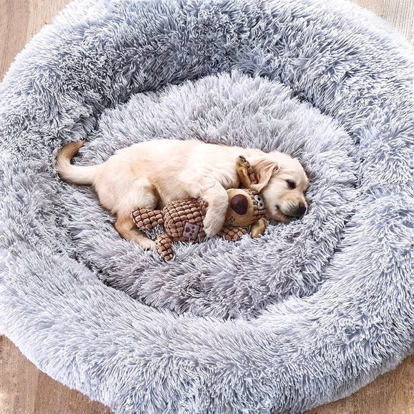 Gemütliches Hundebett