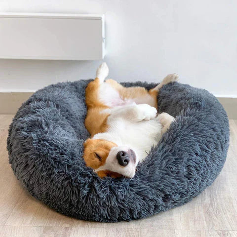 Gemütliches Hundebett