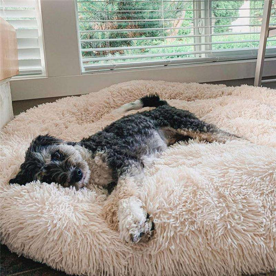 Gemütliches Hundebett