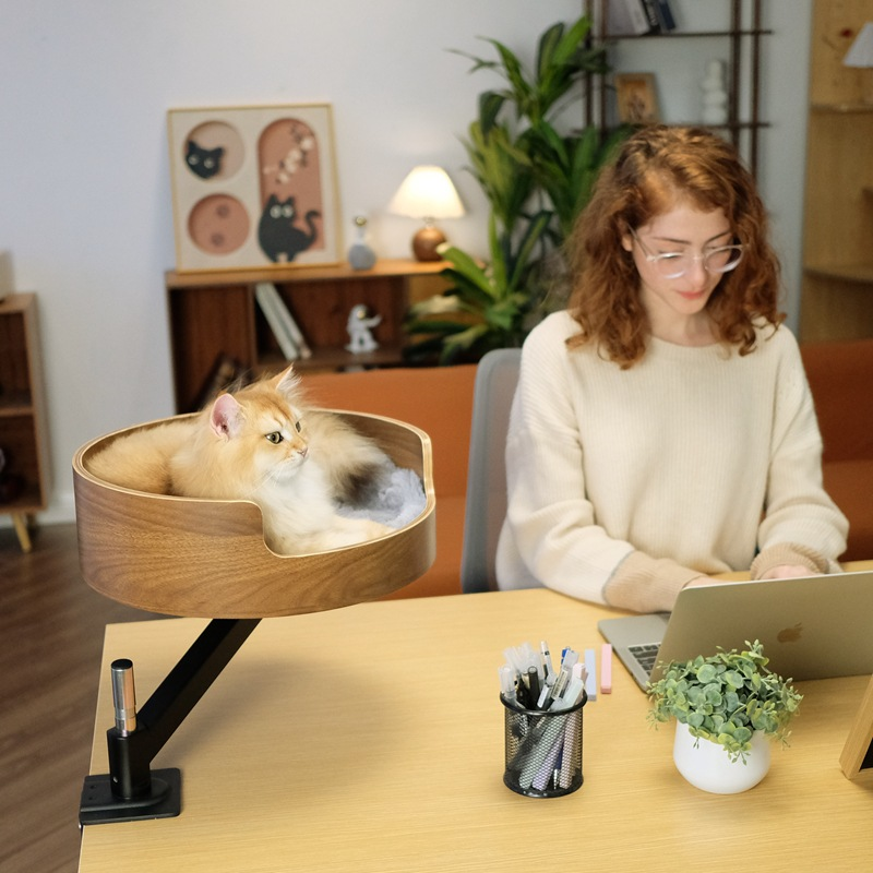 Schwebende Katzenlounge für den Schreibtisch