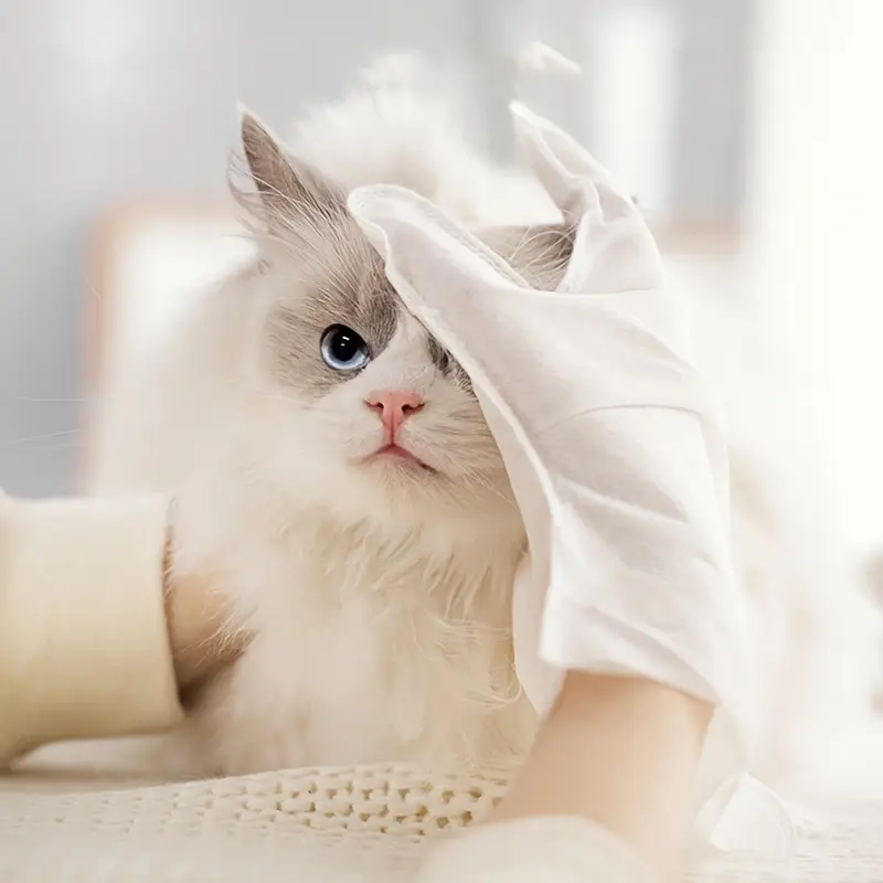 Fellpflege Handschuhe für Hunde und Katzen