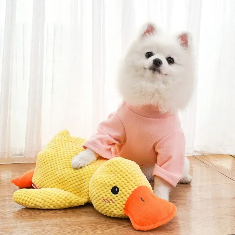Anti-Stress Quak Ente für Hunde