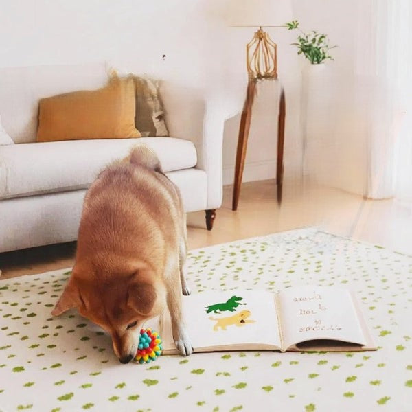 Robuster Gummi Kauball für Hunde