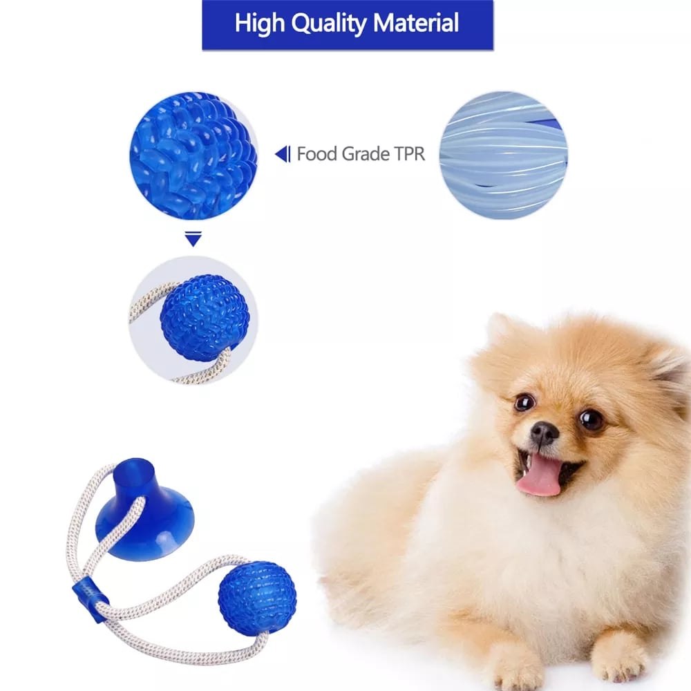 BiteBuddy - Extremes Beiß-Spielzeug für Hunde
