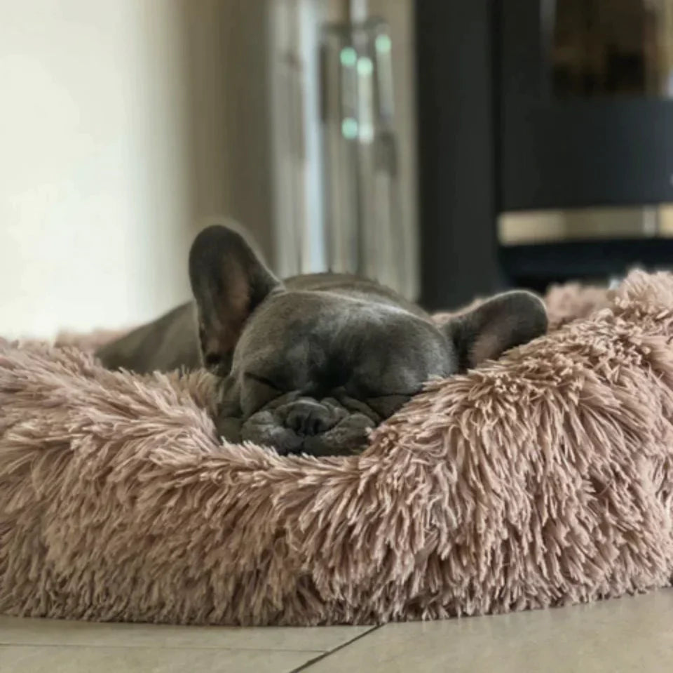Gemütliches Hundebett