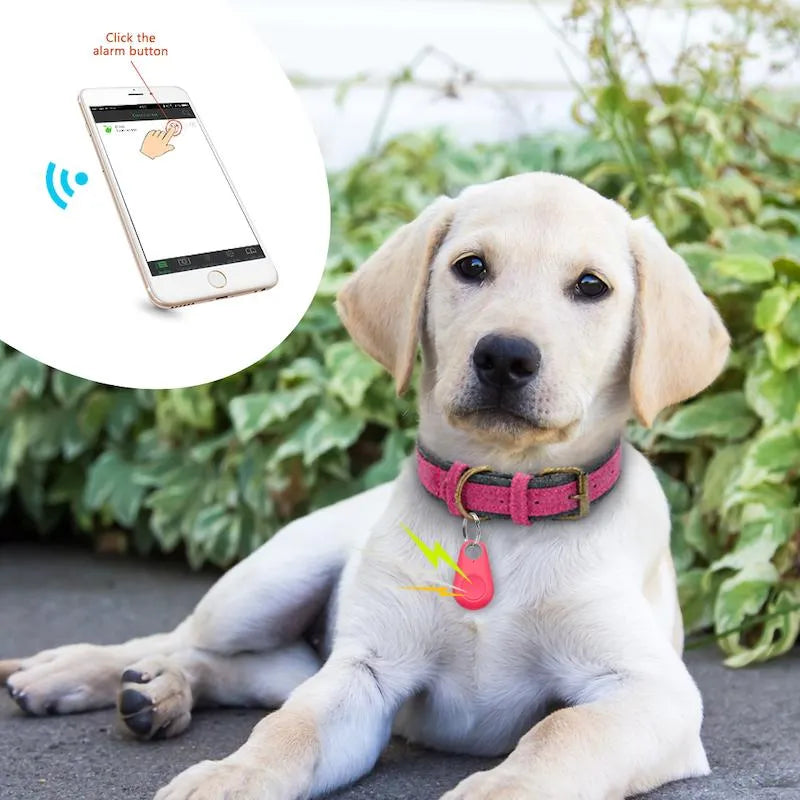 GPS Haustier Tracker