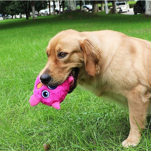 Interaktiver Hunde Monsterball