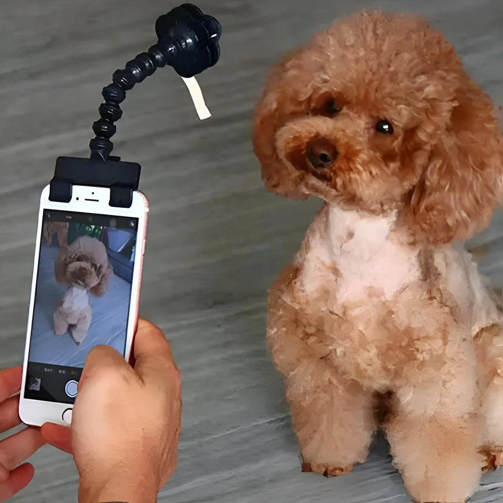 Hauteir Selfie-Stick