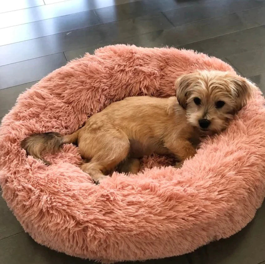 Gemütliches Hundebett
