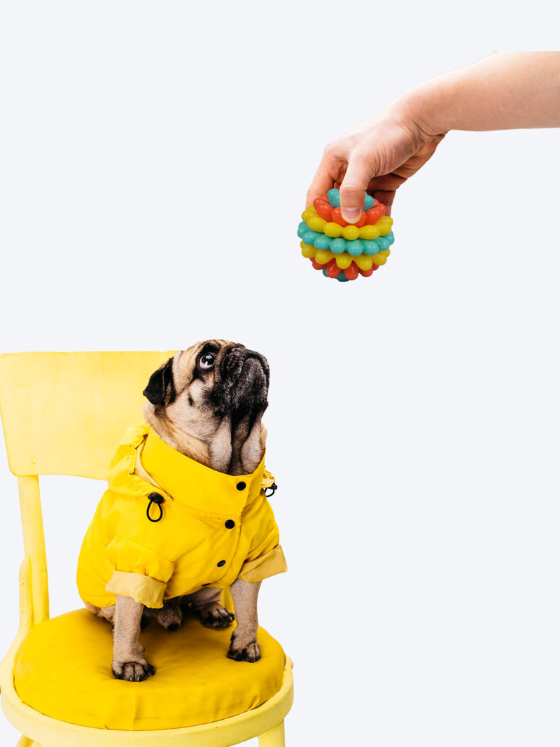 Robuster Gummi Kauball für Hunde