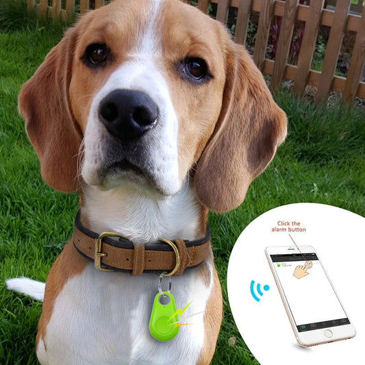 GPS Haustier Tracker