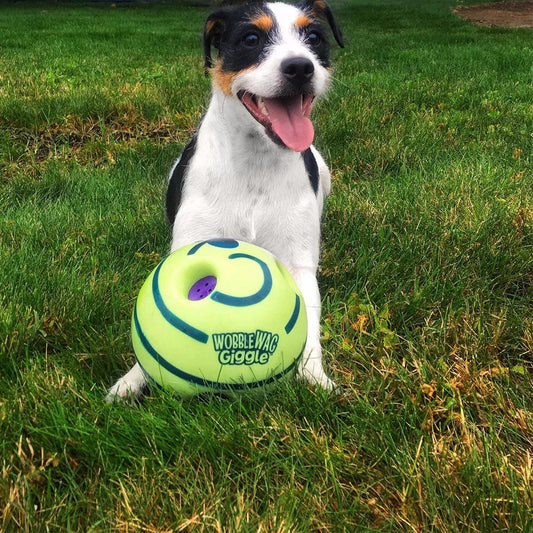 Interaktiver Spielball für Hunde