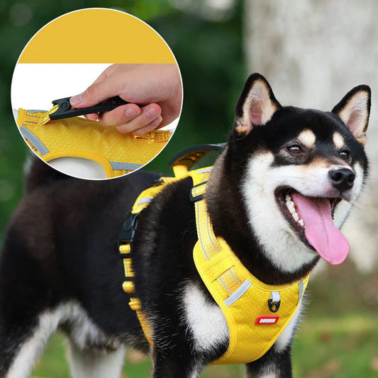 Premium Hunde Geschirr
