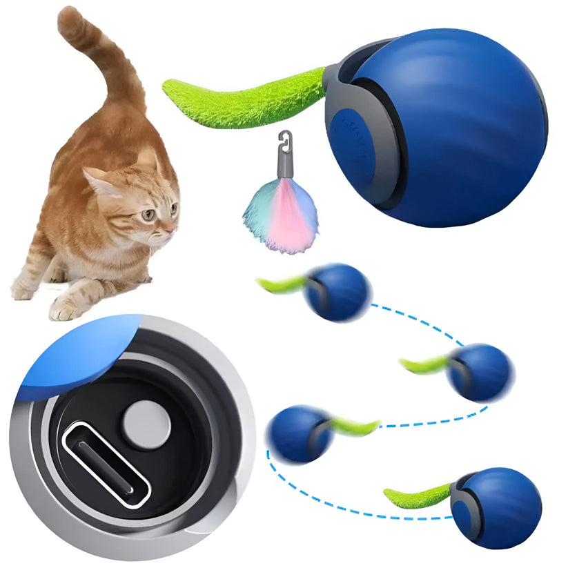 Rollender Katzen-Spielball