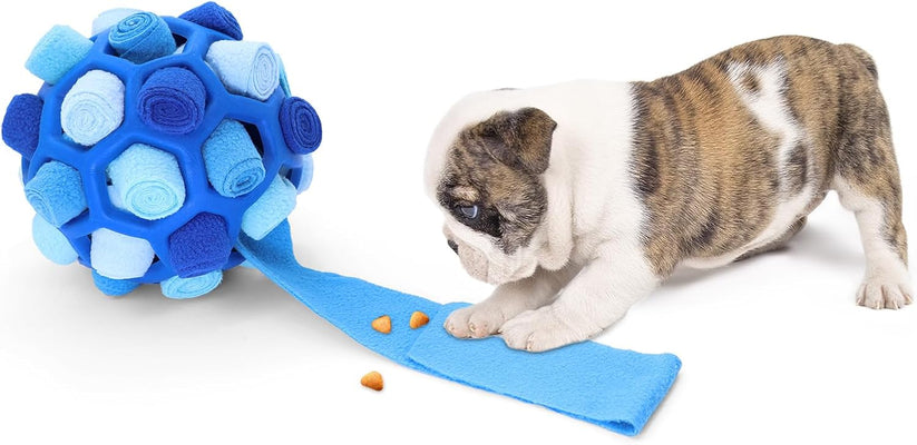 Schnüffelball für Hunde