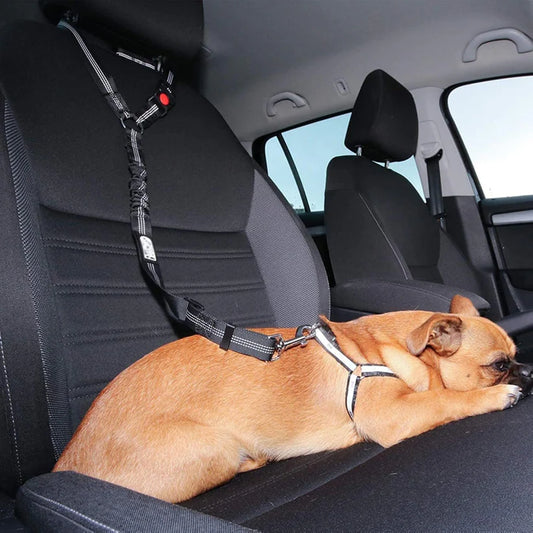 Hunde Sicherheitsgurt
