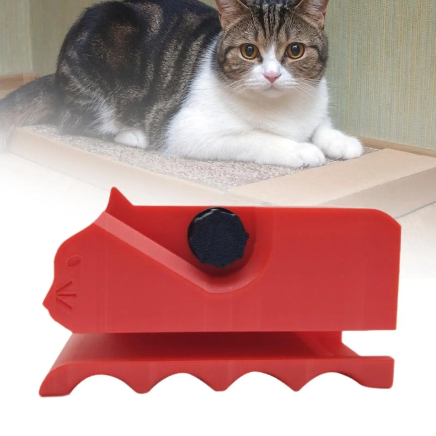 DIY Kratzhelfer Set für Katzen