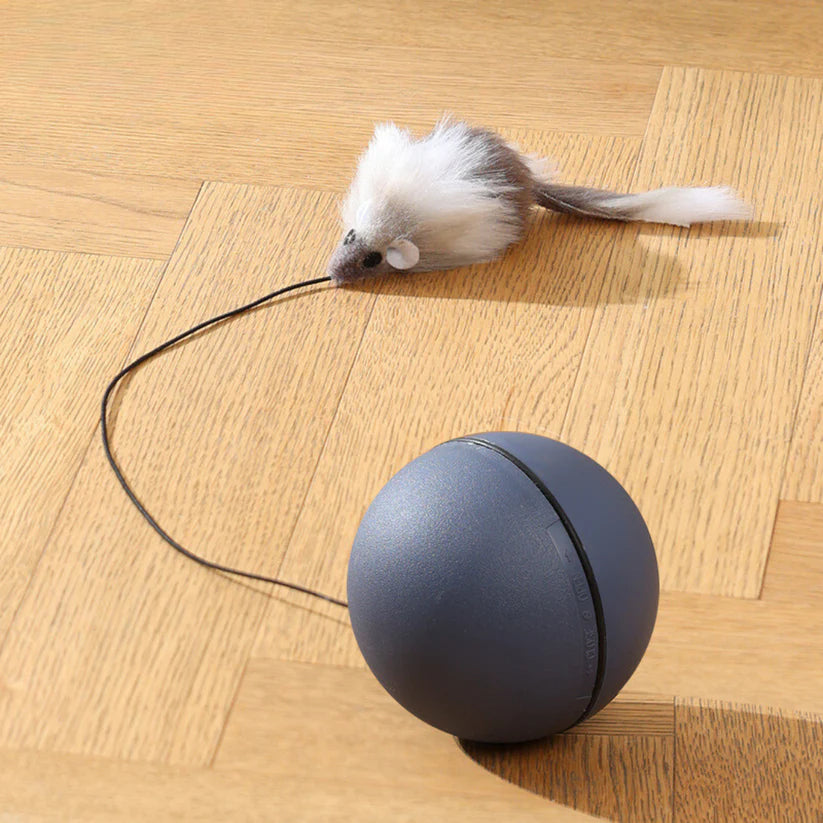 Interaktiver Katzen Jagdball