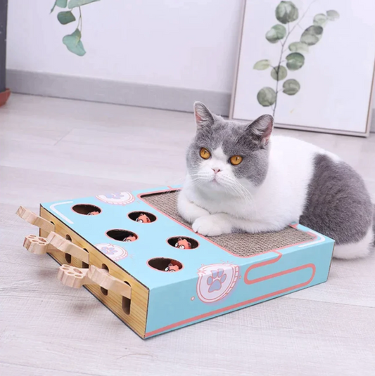 3-in-1 Katzen Spiel und Pflege Box