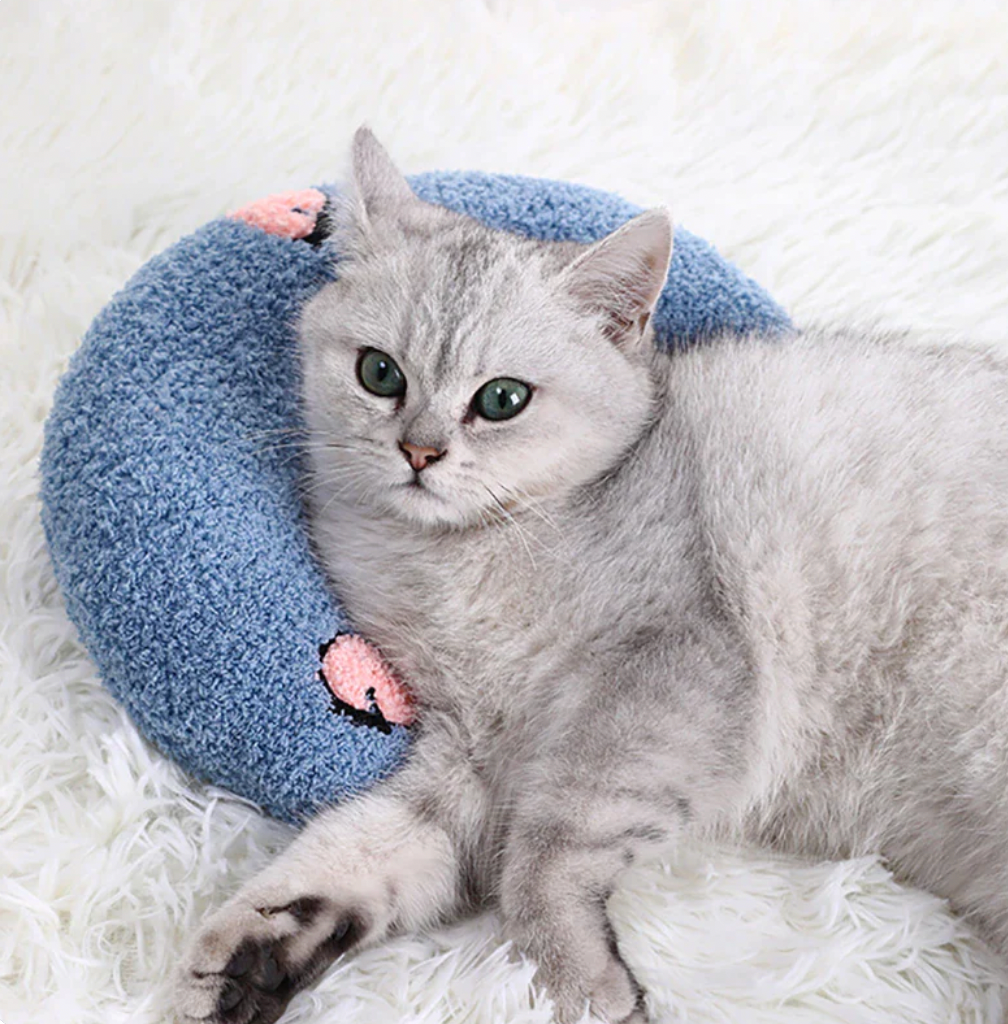 Beruhigendes Katzenkissen