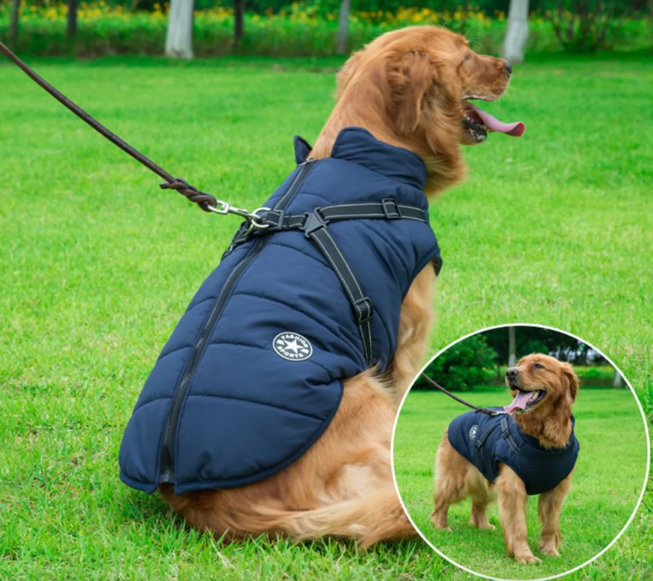 Wasserabweisende Winterjacke inkl Geschirr