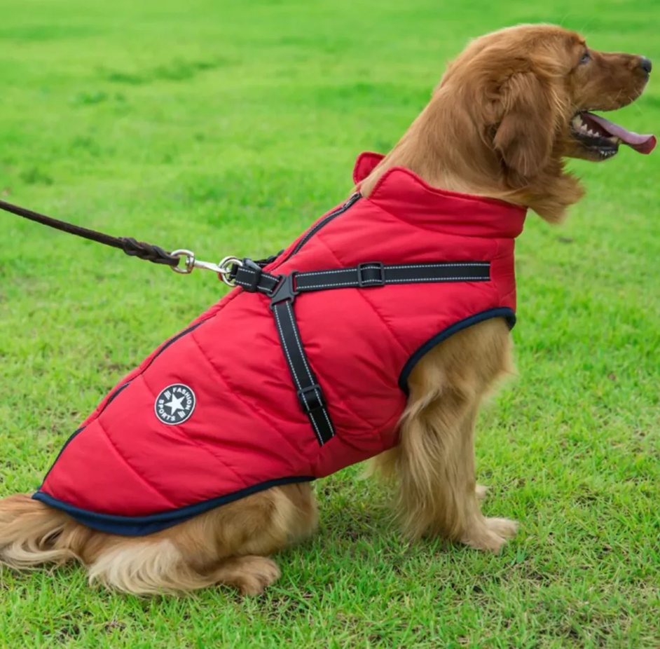 Wasserabweisende Winterjacke inkl Geschirr