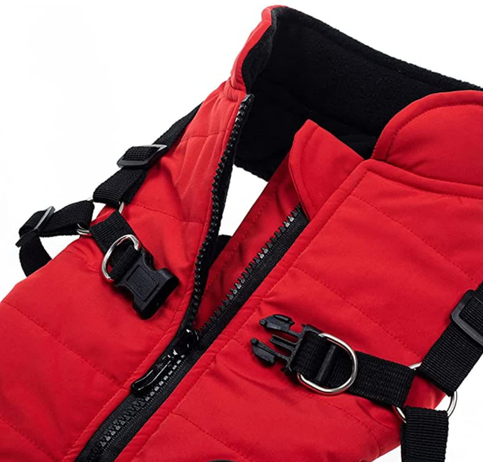 Wasserabweisende Winterjacke inkl Geschirr