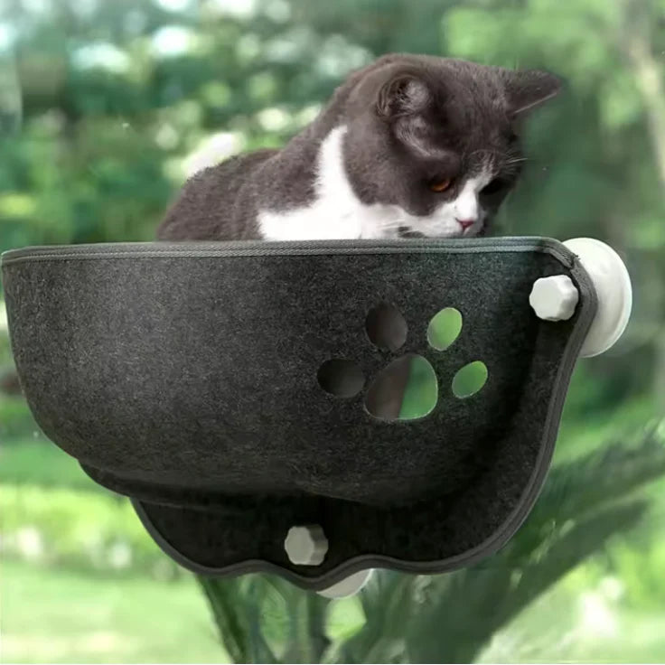 Fensternest für Katzen