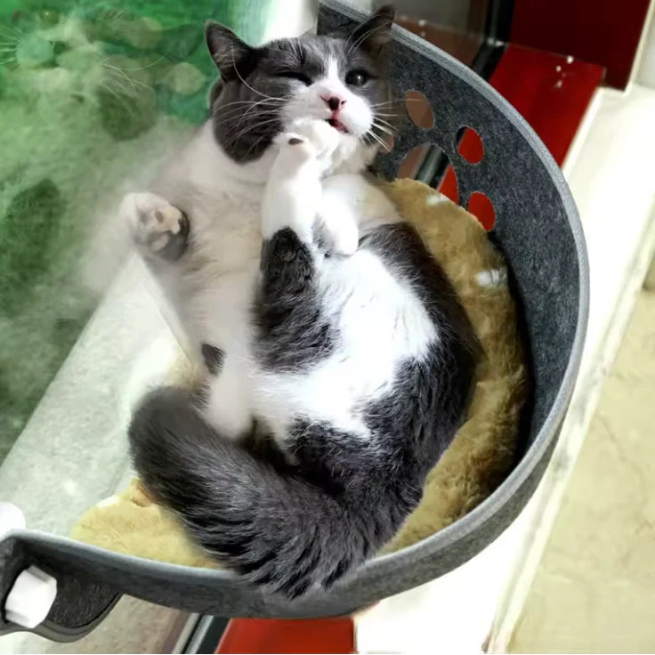 Fensternest für Katzen