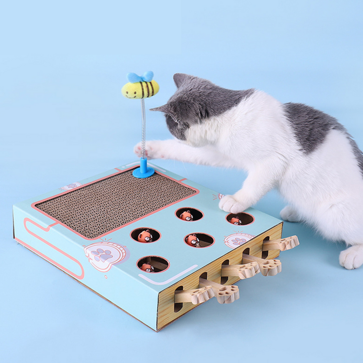 3-in-1 Katzen Spiel und Pflege Box