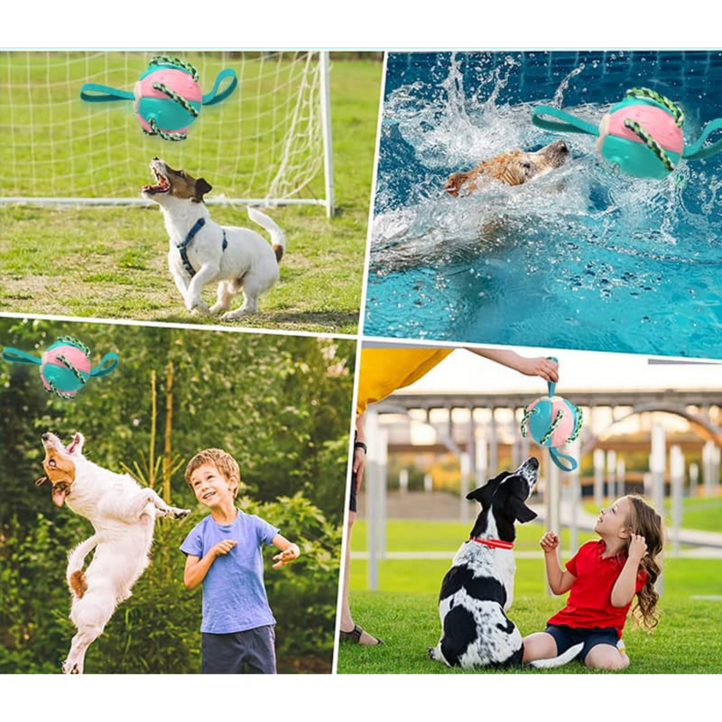 Interaktiver Flugscheibenball