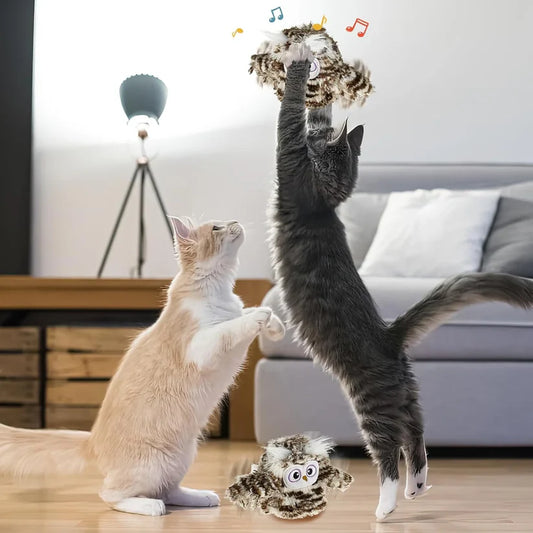 Interaktives Eulen Katzenspielzeug