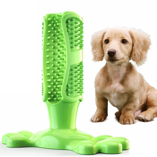 Kauzahnbürste für Hunde