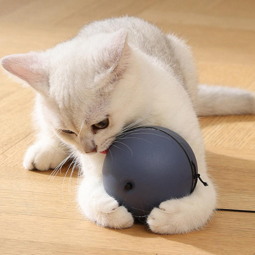Interaktiver Katzen Jagdball