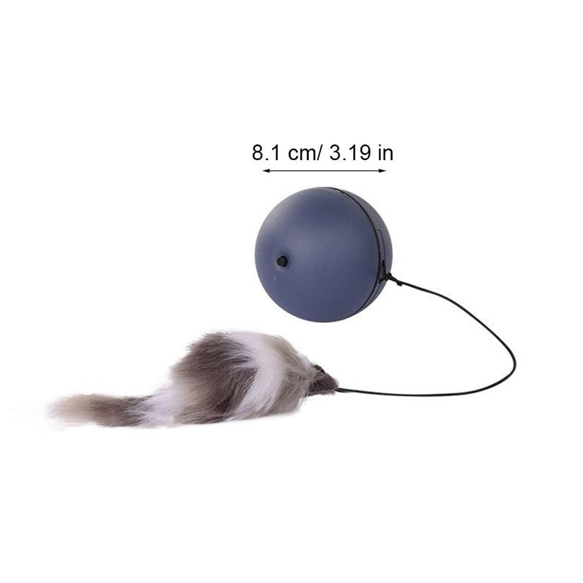 Interaktiver Katzen Jagdball