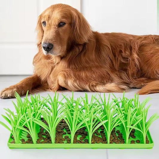 Hunde Leckerli-Wiese