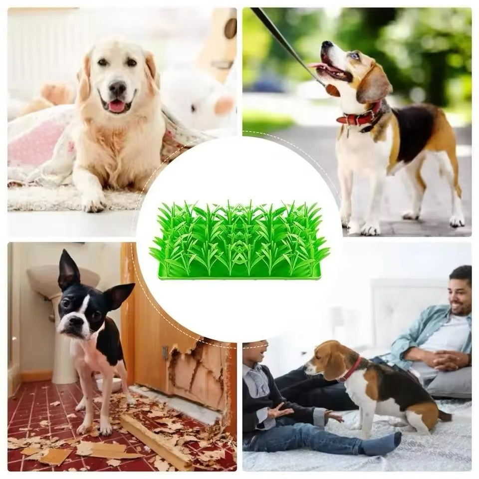 Hunde Leckerli-Wiese