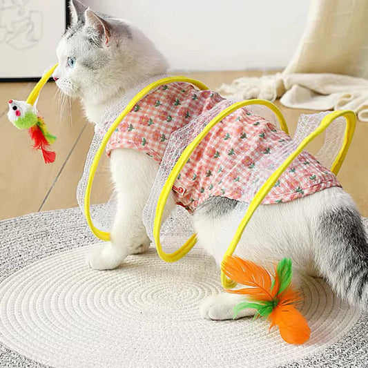 Interaktive Katzenspirale