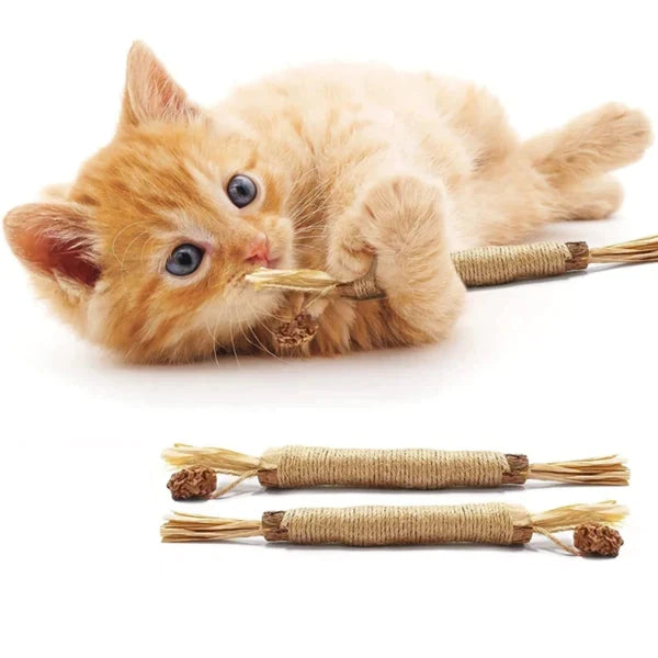 Katzen Kaustick mit Minze
