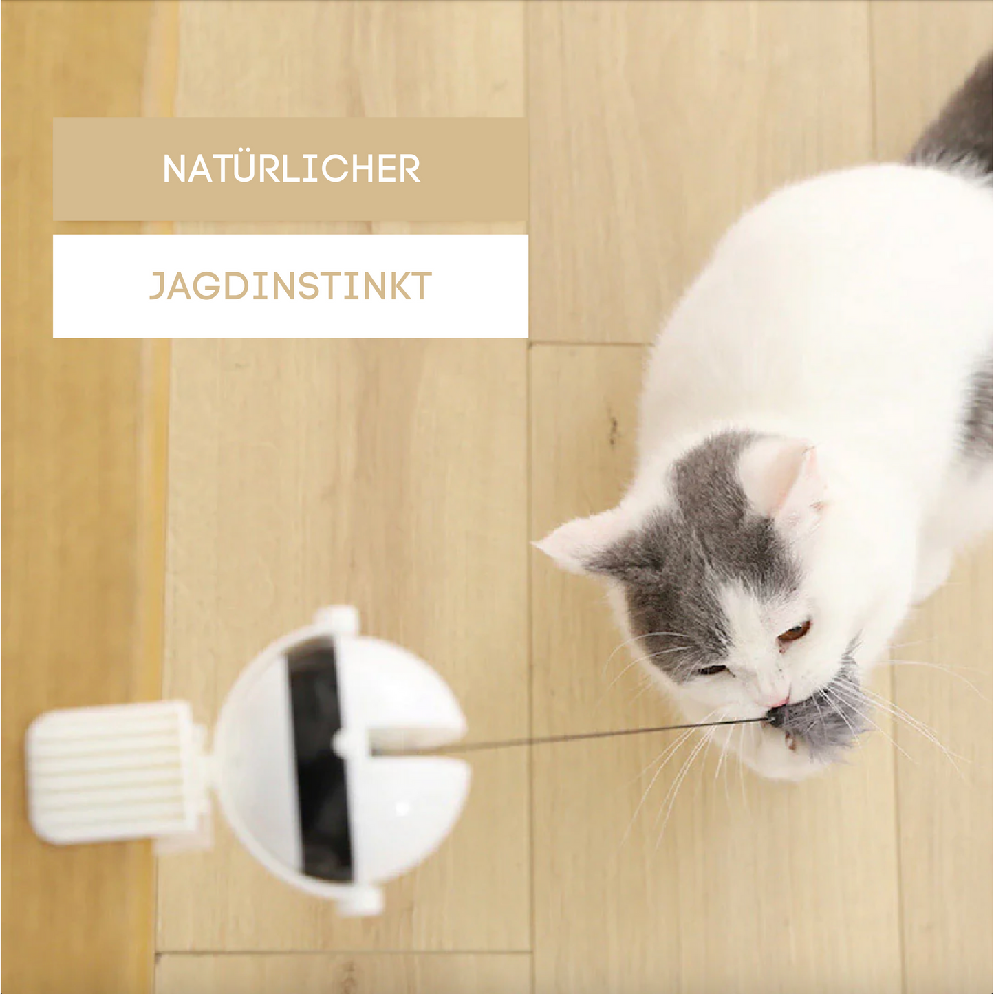 Interaktives Katzen Jagd Spielzeug