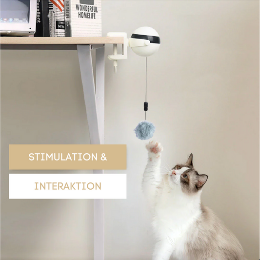 Interaktives Katzen Jagd Spielzeug