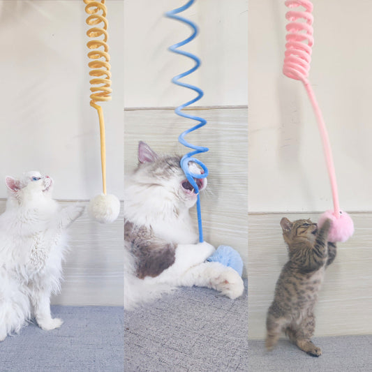Interaktives Spiralspiezeug für Katzen